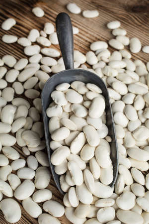 Dried white beans in a metal scoop.の写真素材