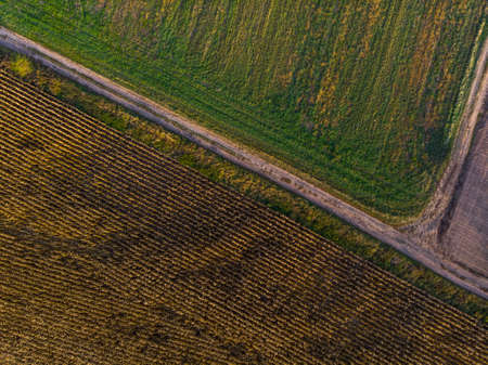 Top down view of farmland in the light of the setting sun.