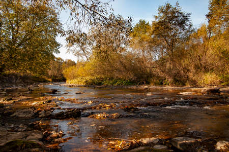 Above a mountain river on an autumn morning. Eastern Carpathians, Poland.