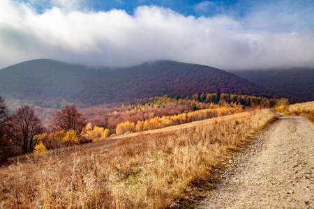 Landscape of autumnal peaks of the Carpathians. Eastern Carpathians, Poland.の写真素材