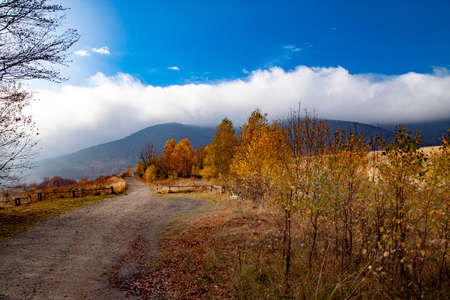 Landscape of autumnal peaks of the Carpathians. Eastern Carpathians, Poland.