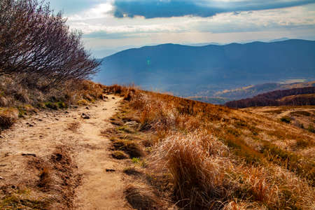 Landscape of autumnal peaks of the Carpathians. Eastern Carpathians, Poland.の写真素材