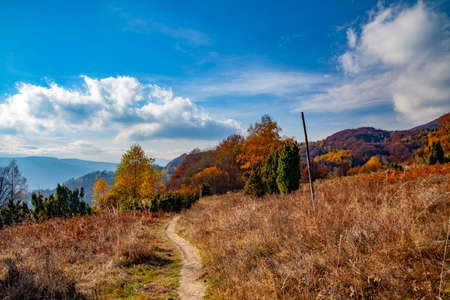 Landscape of autumnal peaks of the Carpathians. Eastern Carpathians, Poland.
