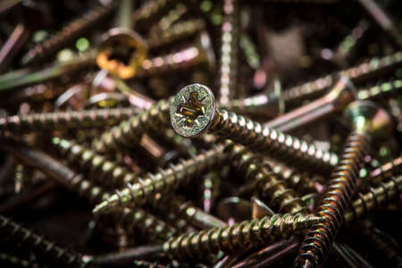 Steel screws for mounting on wooden background. Selective focus.の写真素材