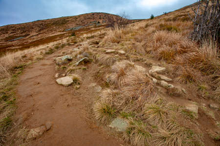 Landscape of autumnal peaks of the Carpathians. Eastern Carpathians, Poland.の写真素材