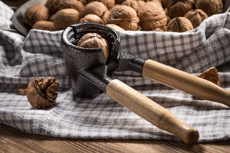 Whole nuts in a metal container. Shallow depth of field.の写真素材