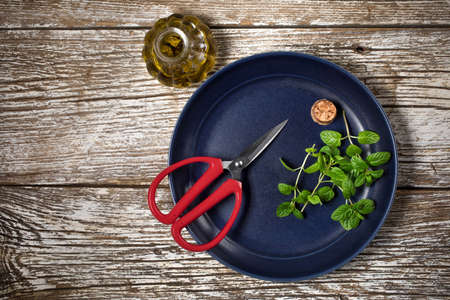 Freshly cut mint leaves on a plate. Top view.