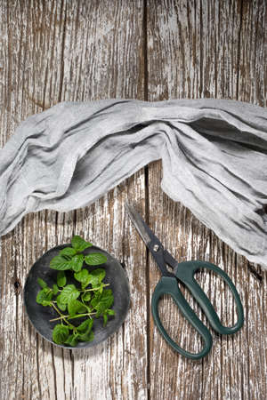 Freshly cut mint leaves on a plate. Top view.の写真素材
