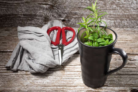 Fresh mint and rosemary in vintage cup.