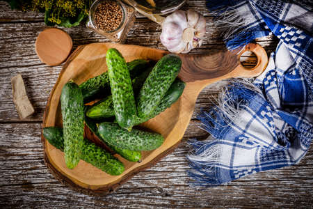 Preparation for pickling cucumbers. Small of depth focus.の写真素材