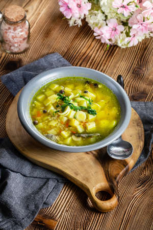 Polish barley soup with vegetables and chicken - krupnik.の写真素材