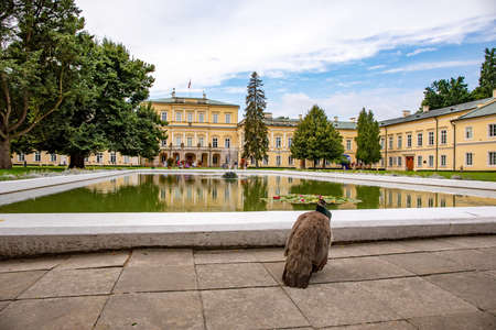 PULAWY, POLAND - AUGUST 25, 2020: Czartoryski baroque palace in Pulawy.のeditorial素材