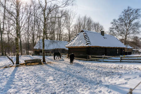 CHORZOW, POLAND - FEBRUARY 15, 2021: Upper Silesian Ethnographic Park in Chorzow.のeditorial素材