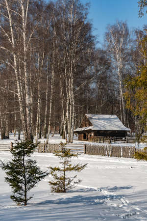 CHORZOW, POLAND - FEBRUARY 15, 2021: Upper Silesian Ethnographic Park in Chorzow.のeditorial素材