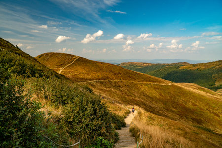 A mountain range in the Bieszczady Mountains in the area of Tarnica, Halicz and Rozsypaniec.の写真素材