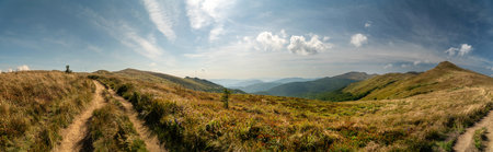 A mountain range in the Bieszczady Mountains in the area of Tarnica, Halicz and Rozsypaniec.