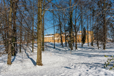 KOSZECIN, POLAND - JANUARY 31,2021: The Palace, built in the first half of 17th century, is, since 1953, the seat of the Song and Dance Ensemble "Slask" of Stanislaw Hadyna.のeditorial素材