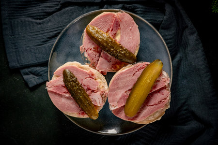 Tasty sandwich with brown and pickled cucumber. Dark light. Shallow depth of field.の写真素材