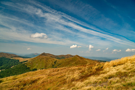 A mountain range in the Bieszczady Mountains in the area of Tarnica, Halicz and Rozsypaniec.の写真素材