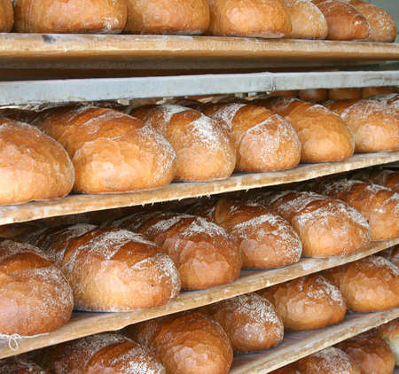  Bread food