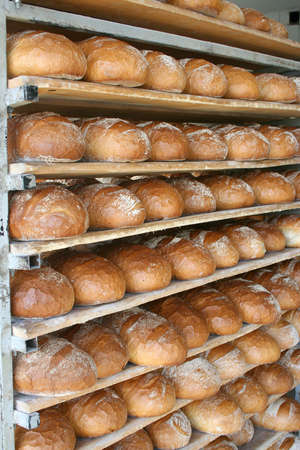  Bread food