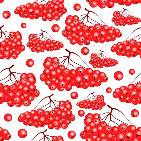 Rowan fruit bunches and berries seamless backgroundのイラスト素材
