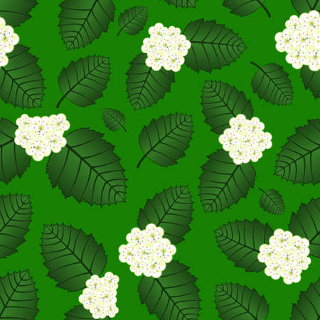 Seamless floral pattern of hawthorn blossom from flowers and leaves against green background.のイラスト素材