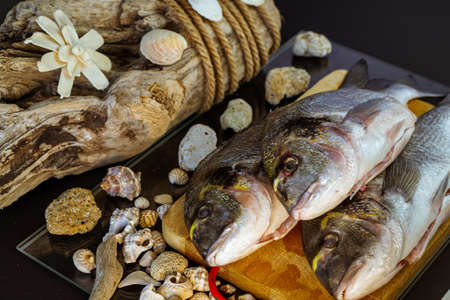 still life with fish on cutting board with sea shells and wooden background