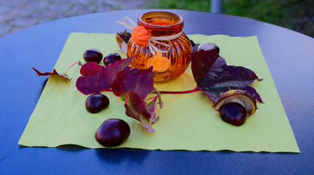 Autumn decorationの写真素材