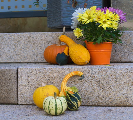 Autumn decorationの写真素材