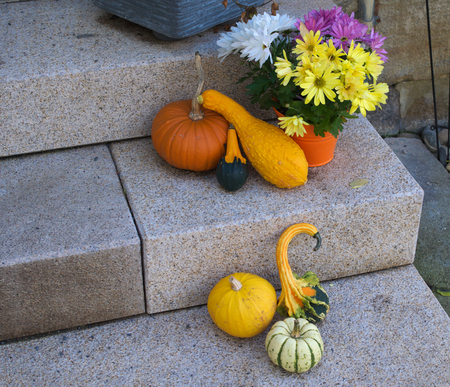 Autumn decorationの写真素材