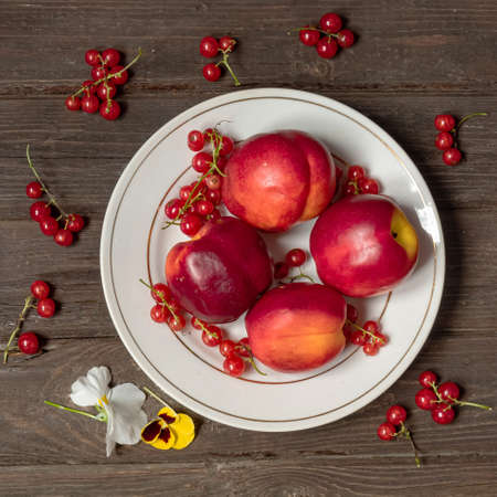 Sweet fresh nectarines on a white plate and red currant on vintage wooden backgroundの写真素材