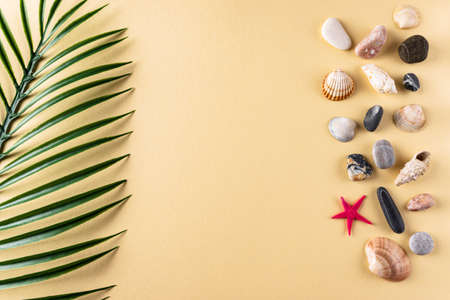 Background with a collection of seashells, stones and a palm leafの写真素材