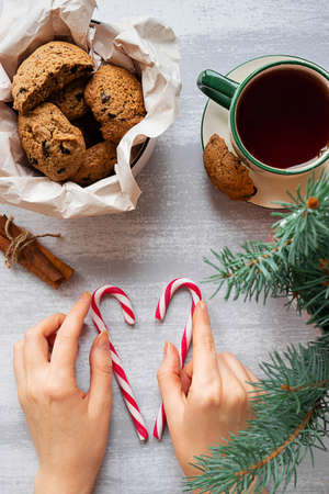 Womans hands with two candy canes, chocolate cookies and a fir tree branchの写真素材