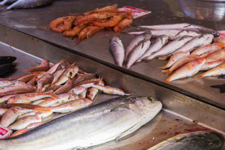 various fish at the fish market