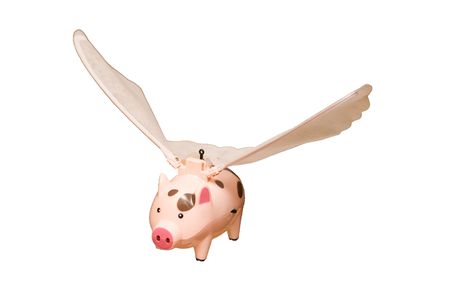 Toy - flying a pig with wingsの写真素材