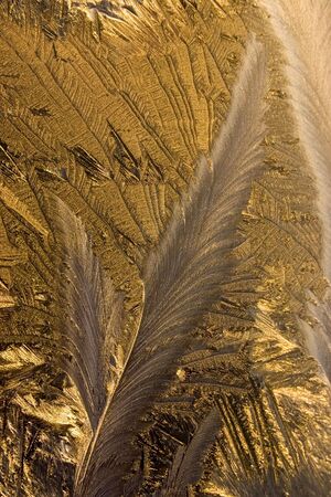 Ice pattern on glass of a trolley bus in St.-Petersburgの写真素材