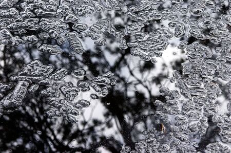 Hiding spring ice and reflections of sky and trees