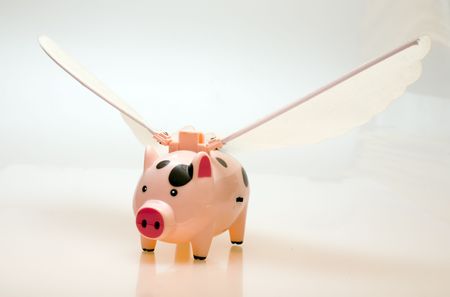 Toy - flying a pig with wingsの写真素材