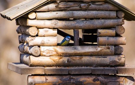 Small house for birds in park in St.-Petersburgの写真素材