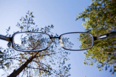 trees and blue sky through the glassesの写真素材