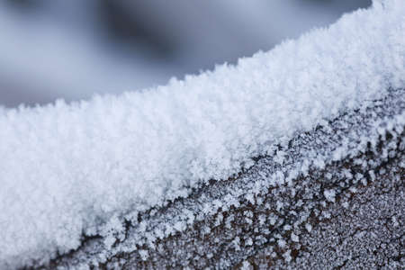 Tree covered by hoarfrost in frosty dayの写真素材