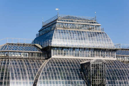 Greenhouse of a botanical garden in St.-Petersburgの写真素材