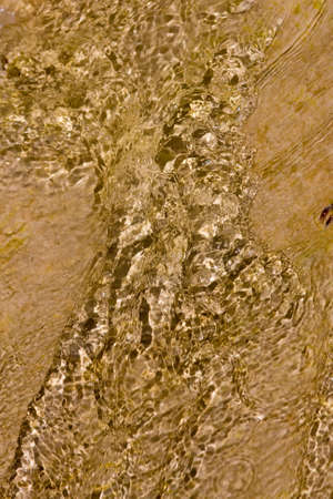 Water in the mountain river in a sunny dayの写真素材