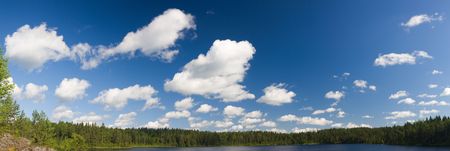 Panorama of wood lake in a sunny dayの写真素材