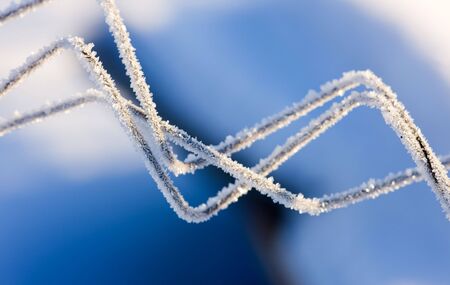 Iron wire covered with hoarfrost against snowの写真素材