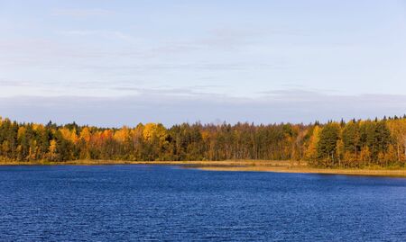Coast of wood lake in autumn dayの写真素材