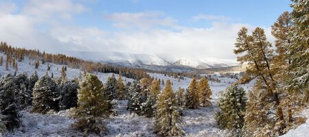 Landscape in mountain Altai - the first snow in the autumn (panorama)