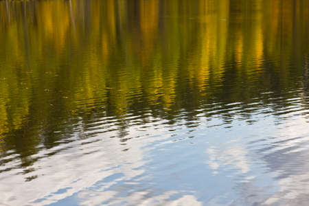 Reflection of autumn wood in lake water