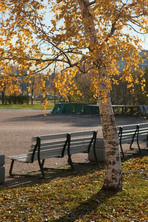 Benches for rest in autumn sunny parkの写真素材